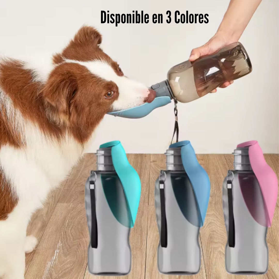 Botella portátil de agua para perros | Canicore®